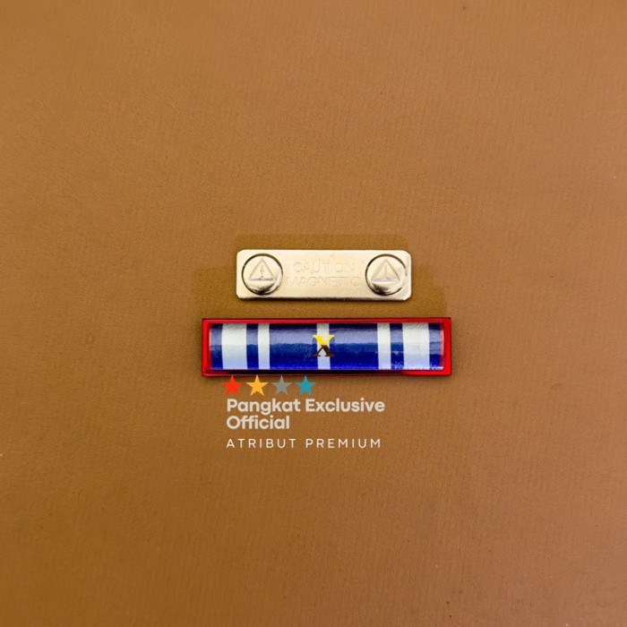 Town Satya Lencana Asn 10 Tahun - Pita Jasa Asn 10 Tahun