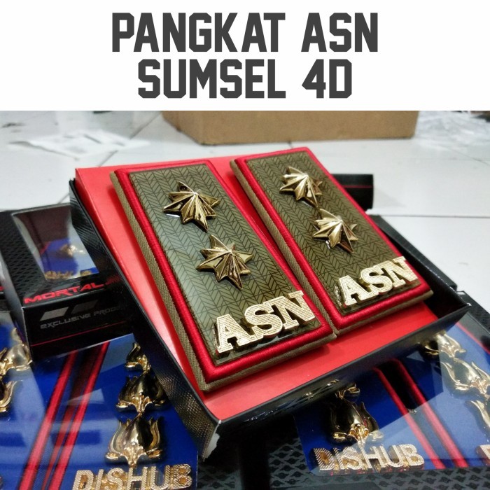 Town Pangkat Asn Sumsel 4D