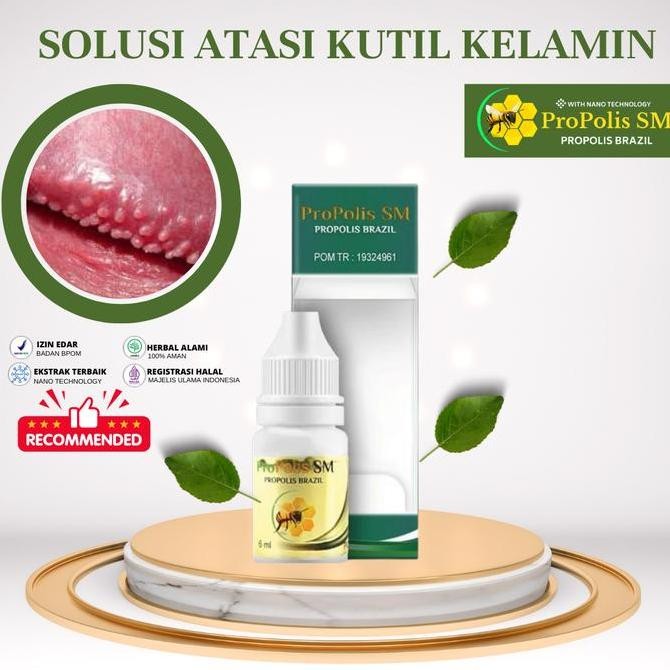 

READY PROPOLIS UNTUK PENGHILANG KUTIL KELAMIN PRIA DAN WANITA,ATASI BENJOLAN DI MV, KONDILOMA KUTU RAMBUT DI SELANGKANGAN, JENGGER AYAM, PENGHILANG KUTU KELAMIN 100% ORIGINAL BEST SELLER