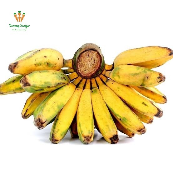 

Pisang Kepok Kuning - 1 Sisir