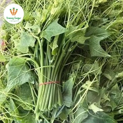 

Daun Pucuk Labu Siam Segar - 1ikat