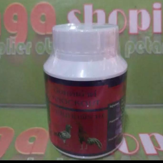 

READY KNOCK OUT VITAMIN SUPLEMEN JAMU DOPING AYAM BURUNG