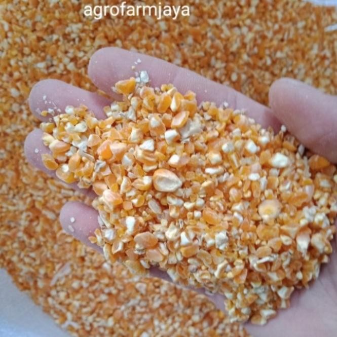 

READY JAGUNG PECAH PAKAN AYAM BURUNG 10 KG