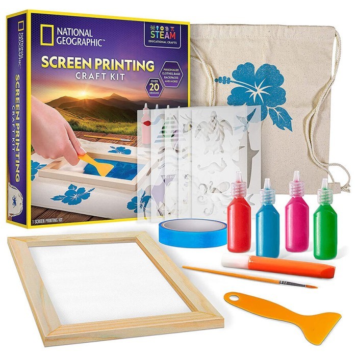 

National Geogrephic Screen Printing Craft Kit