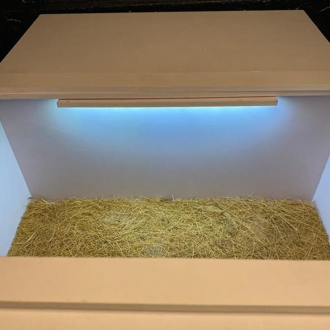 Kandang Reptil / Terarium Reptil Pvc Board Akrilik Fullset Hiding Cave Ukuran L Original Dan Terlari