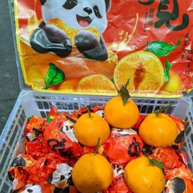 

CO dekopon 1keranjang 6kg murah