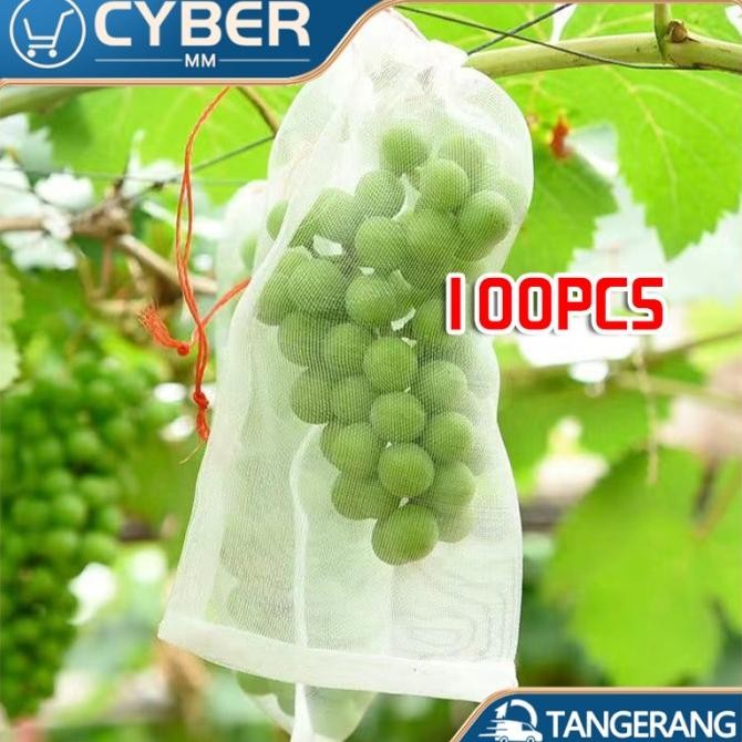 CO Jaring Pembungkus Buah Di Pohon Anggur Klengkeng Mangga fruit cover