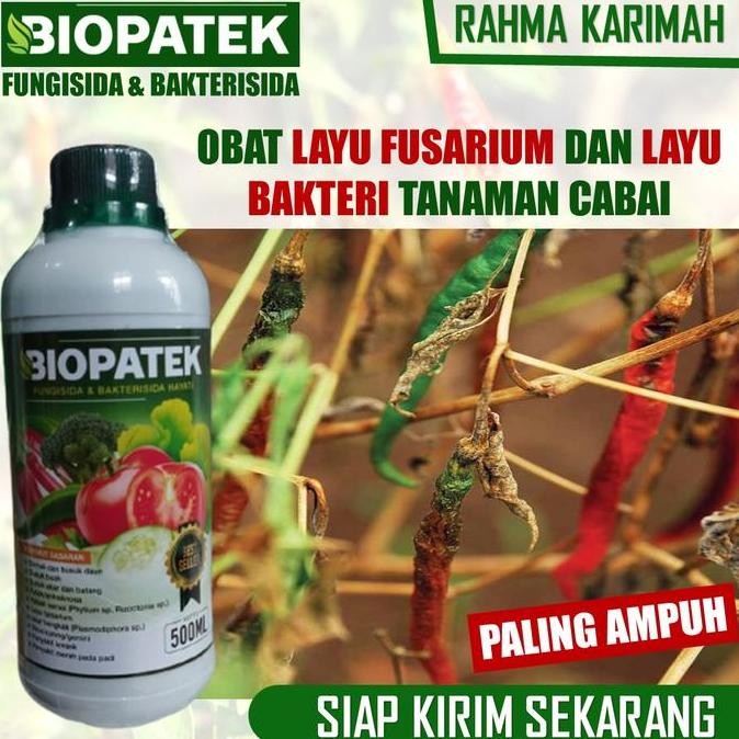 OBAT Layu Fusarium dan Layu Bakteri Cabe BIOPATEk 500 ML Pupuk Organik Semprot Atasi Layu Buah, Daun