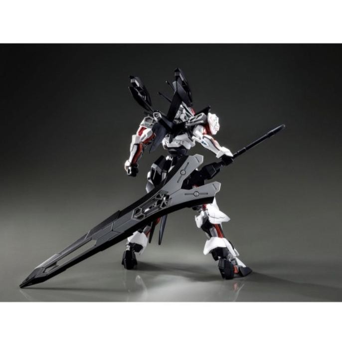 BIG SALE HG LOAD ASTRAY OMEGA GUNDAM 1/144 P-BANDAI 