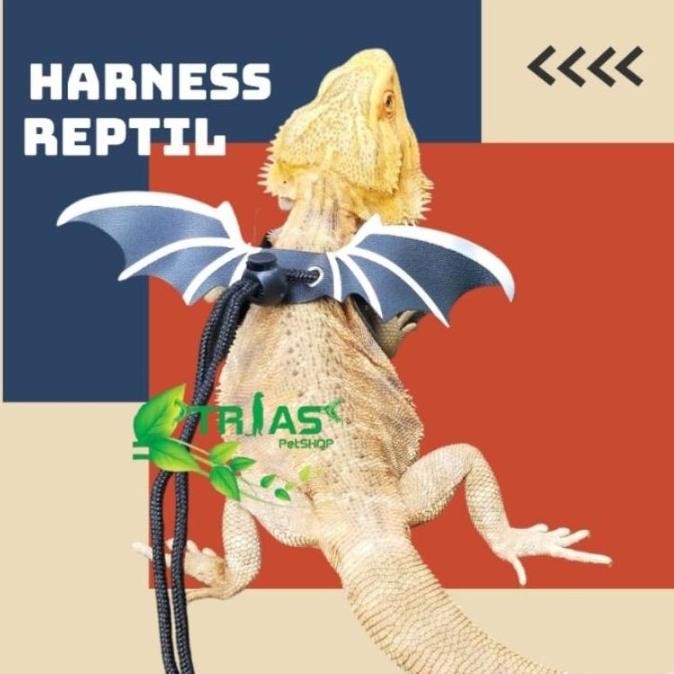 HARNESS REPTIL/HARNNES NOMOY PET/HARNES BEARDED DRAGON/HARNES SAYAP /Harness/harnes untuk pets /bear