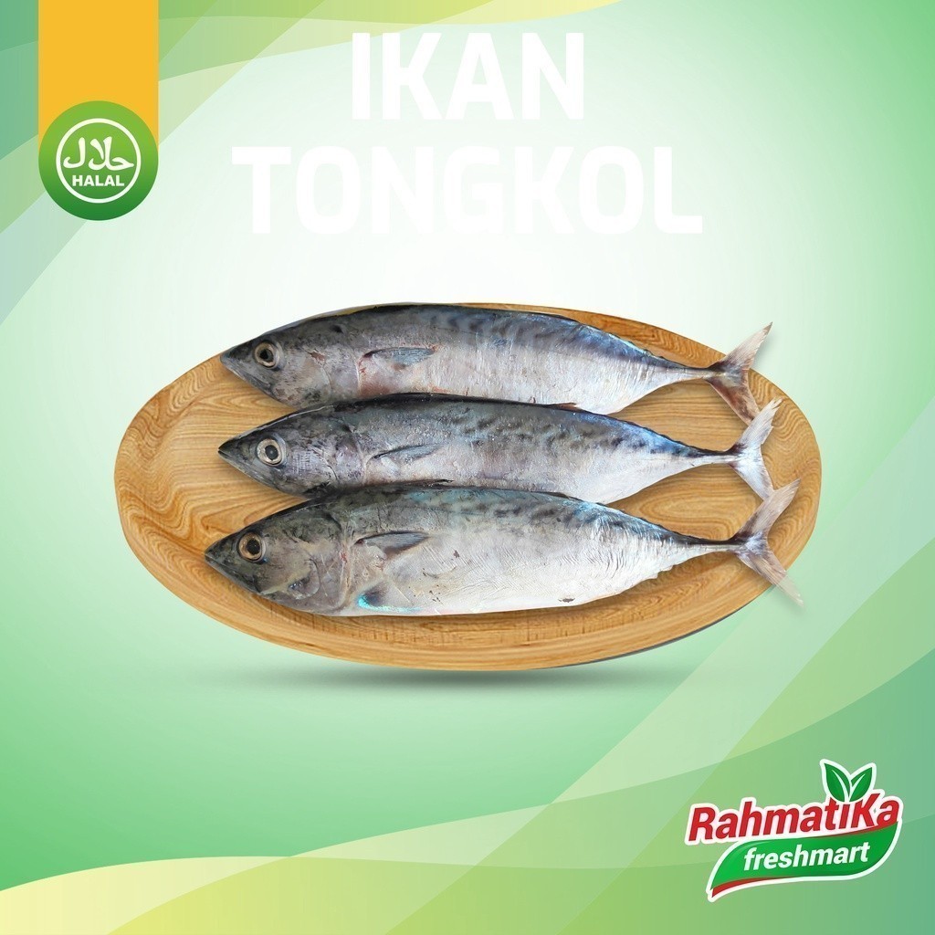 

Ikan Tongkol Segar / Ikan Tongkol Fresh 1 Kg