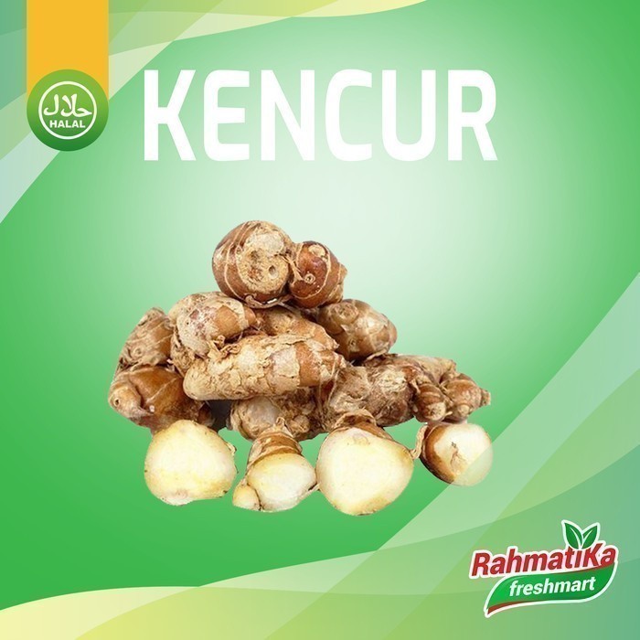 

Kencur Segar / Kencur Fresh 250 gram