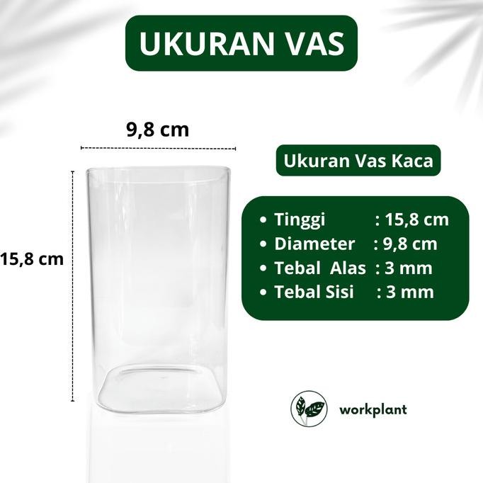 Terlaris Vas Kaca Emerald - Vas Bunga Kaca Bening Kotak Vas Bunga Kotak Pot Ready Stok