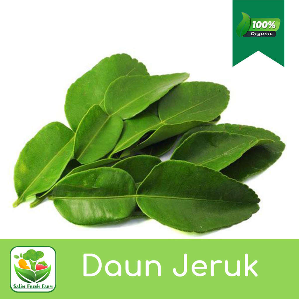 

Daun Jeruk Segar