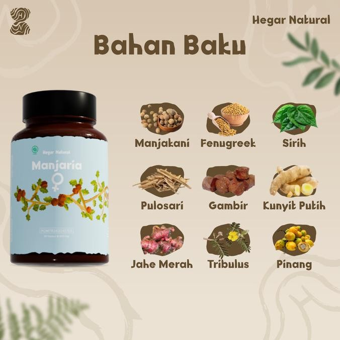

Manjaria - Jamu Istri | Libido | Rapat | Kista | Miom By Akukamu Herba