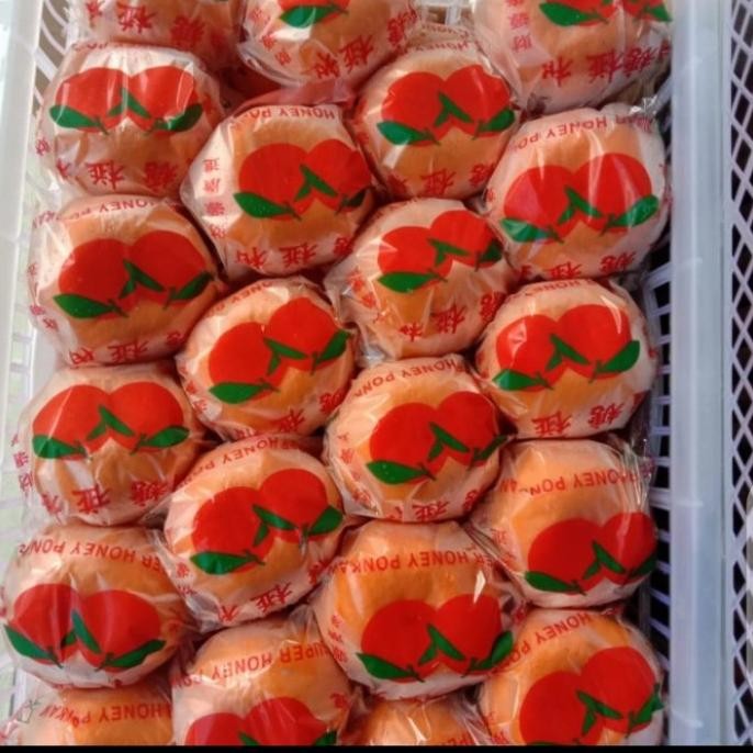 

JERUK PONKAM FRESH PER 1 KRANJANG / DUS BERAT (9) KG TA
