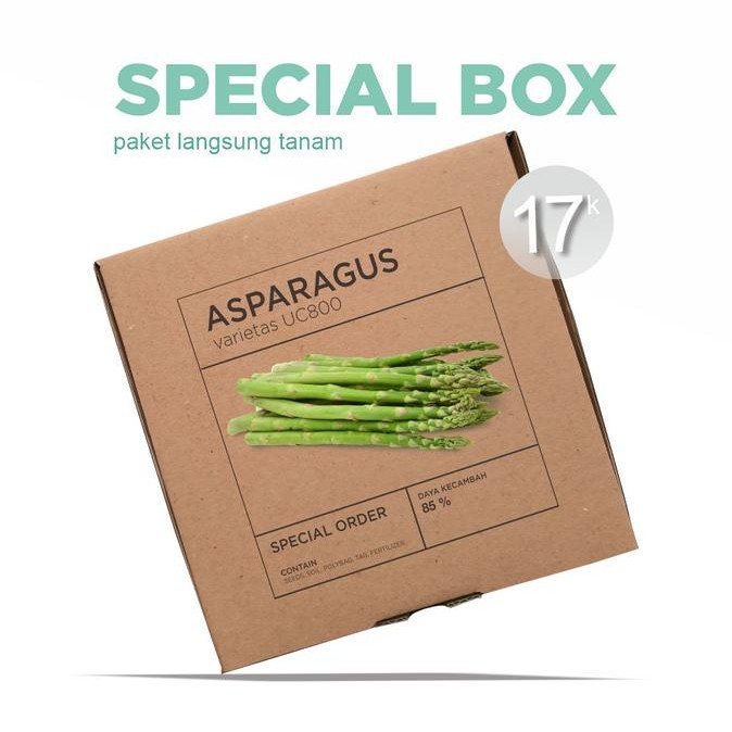 Paket Langsung Tanam - Gardening Kit - Benih Asparagus F1 UC800 Seeds murah
