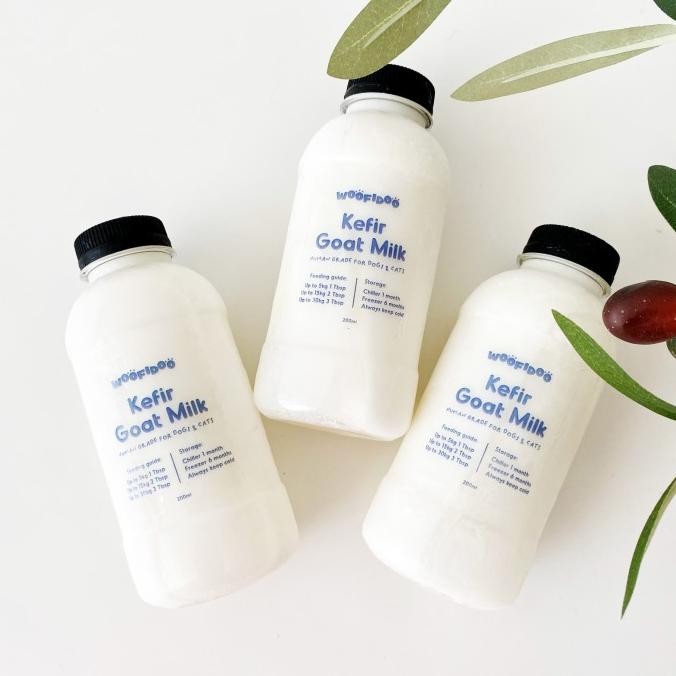 WOOFIDOO Kefir Goat Milk Yogurt Anjing Cat Dog Probiotic Susu Kambing murah