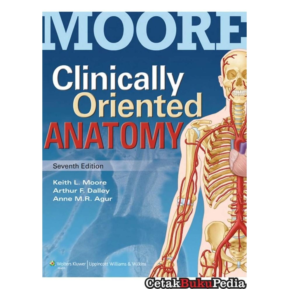 Book Moore'S Clinically Oriented Anatomy Keith Moore Softcover