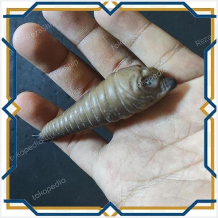 [LOM] FIGURE MOTHRA LARVA FORM ORIGINAL HG NECA SHM GASHAPON