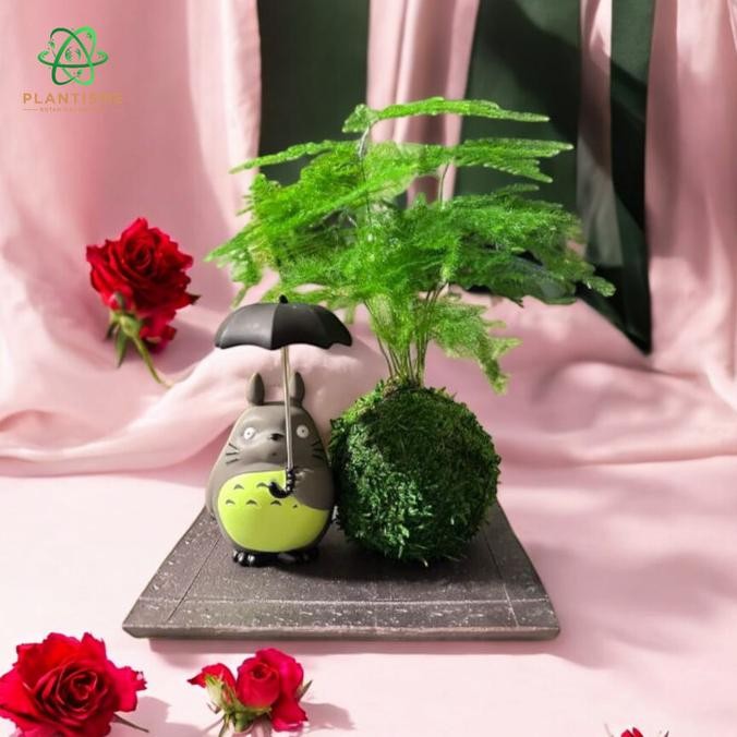TERBARU - Mossball - My Neighbor Totoro Asparagus Plumosus Set Figure Hijau Tanaman