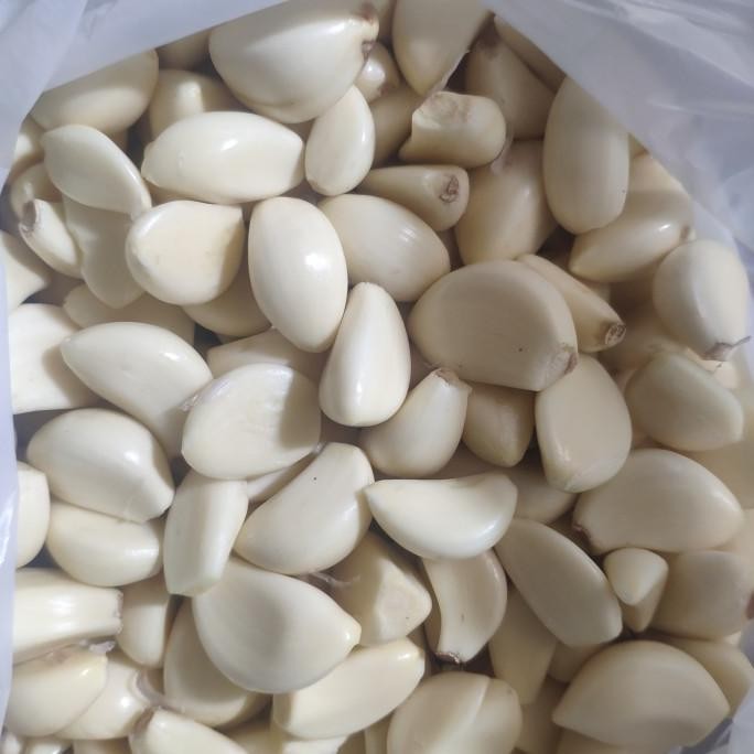 

bawang putih kupas 1 kg murah