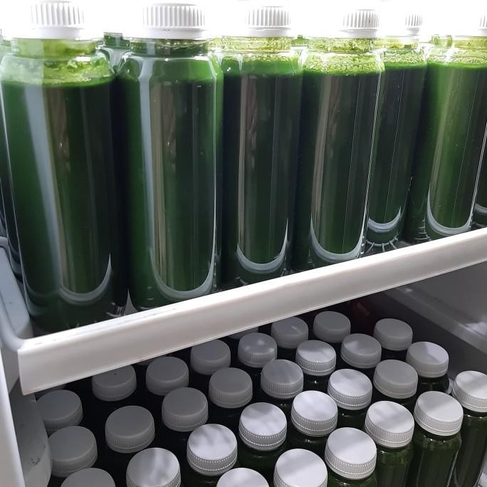 

endapan air pandan murah