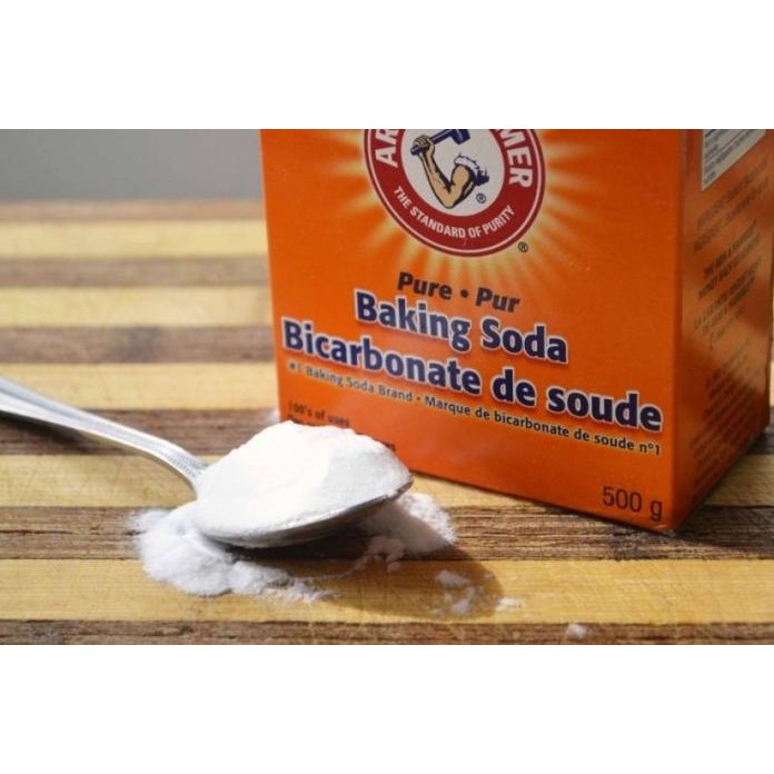 

Baking Soda Arm & Hammer 454 gram murah