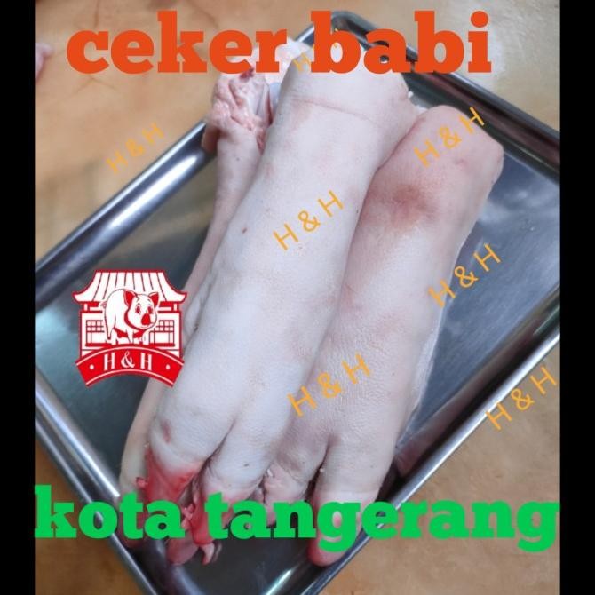 

Murah Ceker Babi