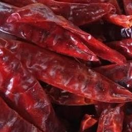 

Cabe Merah Ering Gr Cabai Peda Ering Chili Chilli