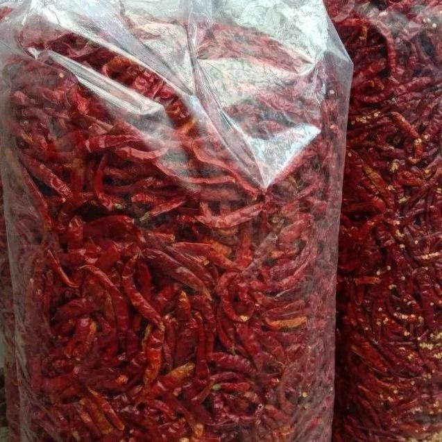 

Cabe Ering 1 G Tanpa Tangai