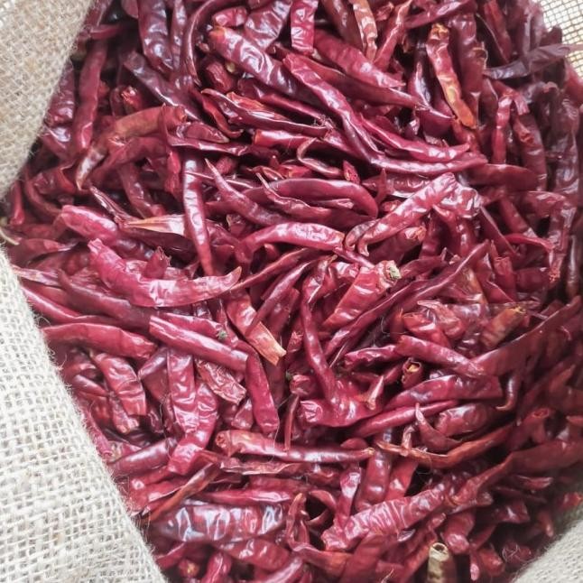 

Cabe Rawit Teja Merah Ering G Gram Peda Dan Dijan Freh