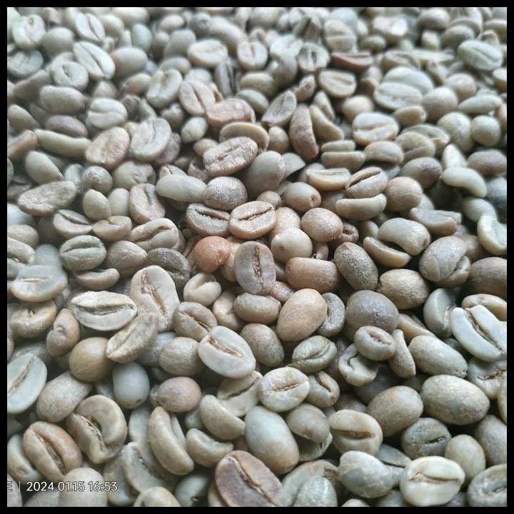 

Green Bean Arabika Natural 1 Kg | Arabika Natural Original Best Seller