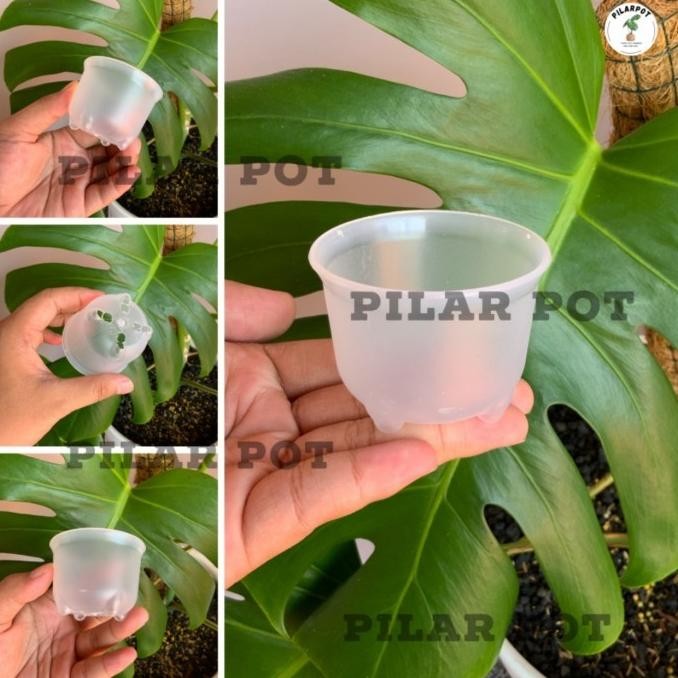 [Good] pot bunga tanaman mini nkt panda 06 bening transparan 6cm - nkt mini