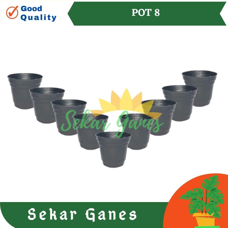 Bisa Cod Murah Pot 8 Cm Hitam Pot Bunga 8Cm Plastik Kaktus Vas Bunga Kecil Hitam Pot Hidroponik Mini