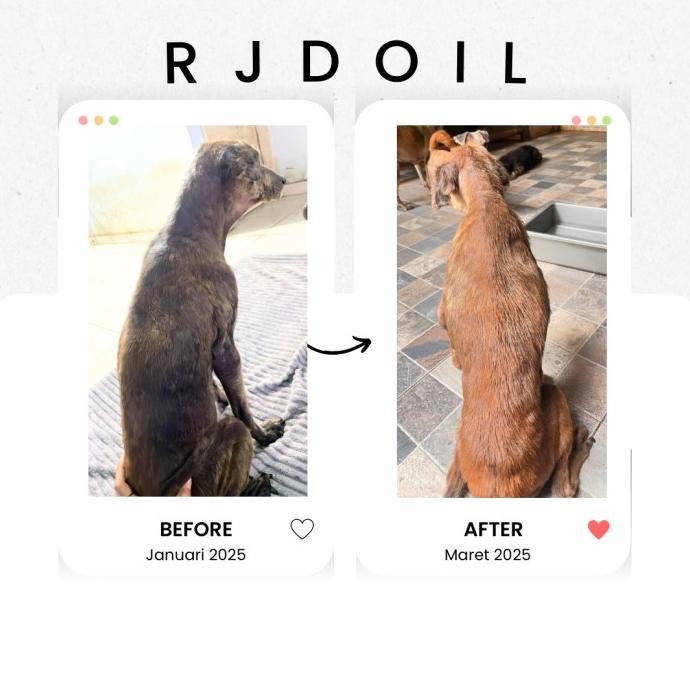 Promo Rjd Oil For Pets By Desiria