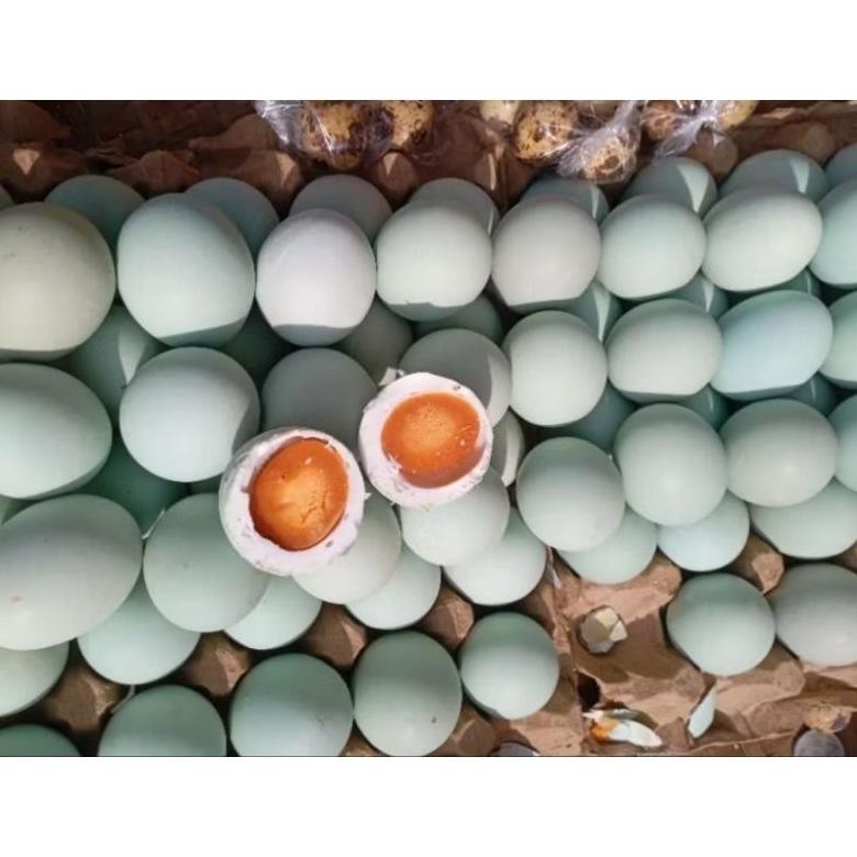 

Fb-43 Telur Asin 1 Biji