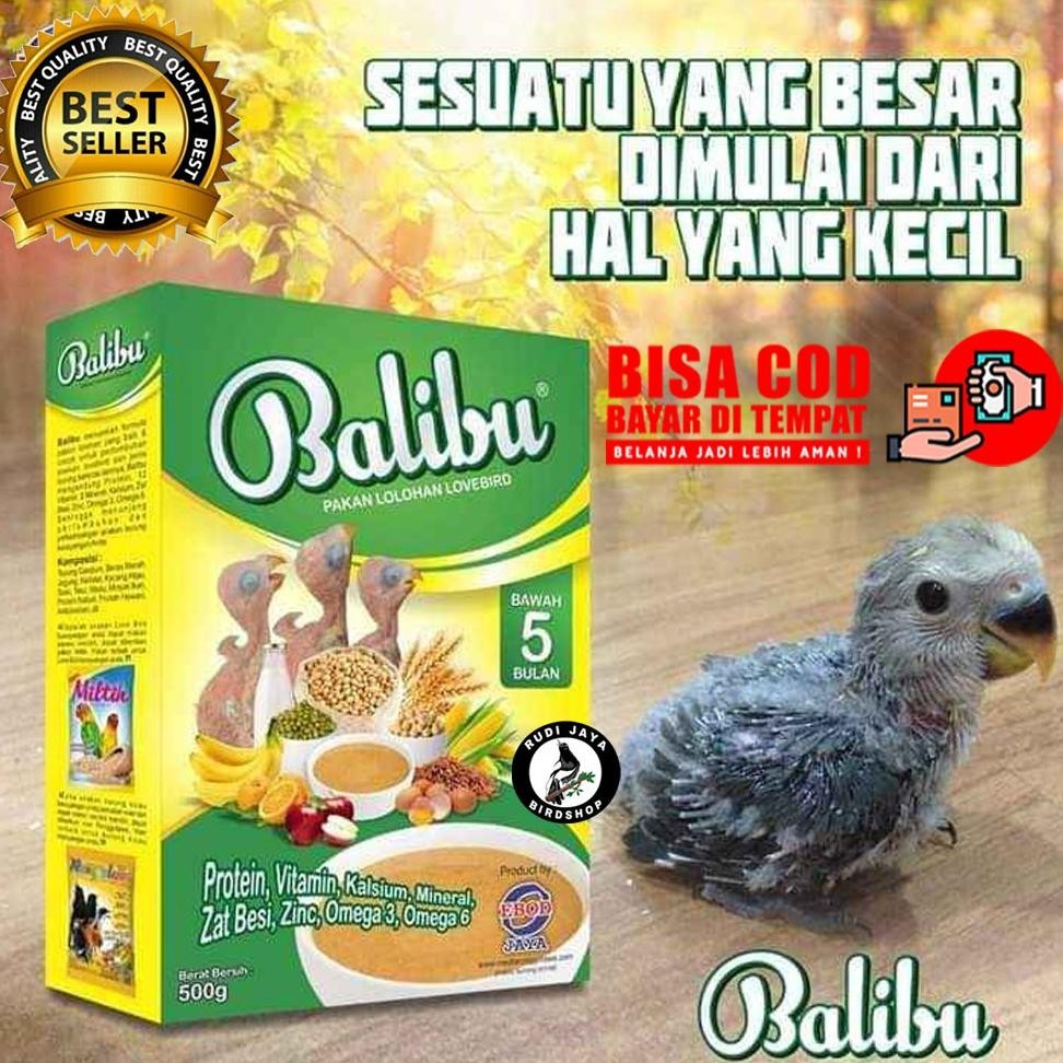 TR24 iQ45 BALIBU EBOD JAYA PAKAN MAKANAN BUBUR ANAKAN BURUNG LOLOHAN PIYEK LOVEBIRD FALK HAND FEEDIN
