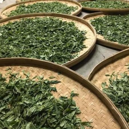 

Promo [Okutomi Tea] Withered Sencha Yumewakaba Loose Leaf