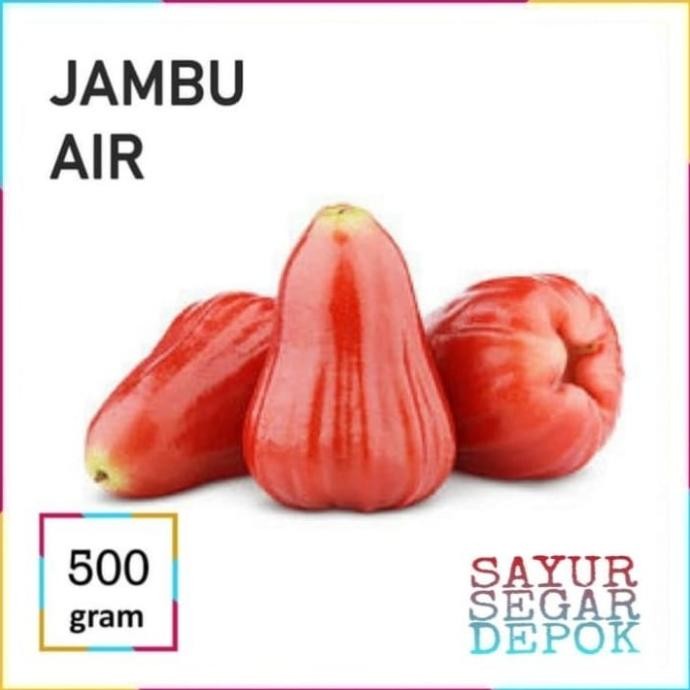 

BUAH JAMBU AIR-BAHAN RUJAK nUg