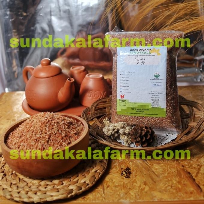 

beras merah sosoh beras merah pulen beras diet beras diabetes nUg