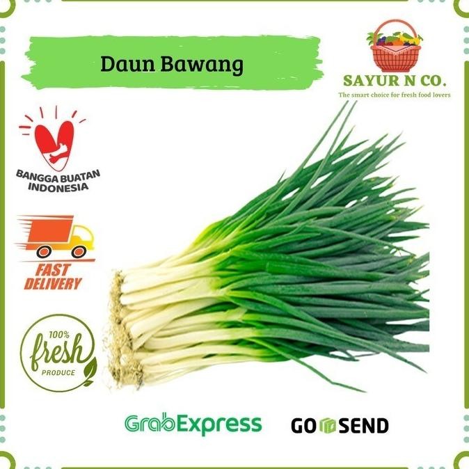 

Daun Bawang | Sayur N Co Bekasi nUg