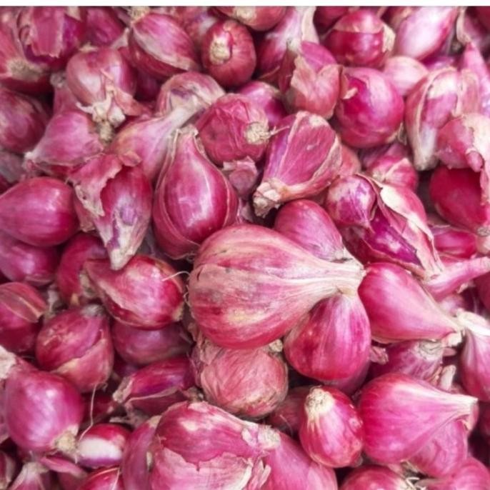 

Bawang Merah Brebes nUg