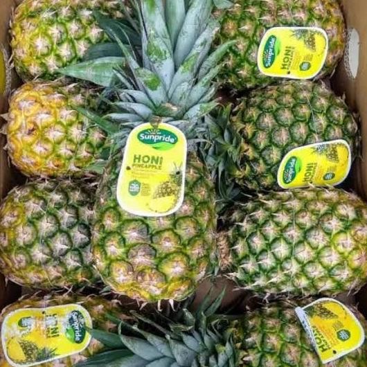 

Nanas Honi Madu Sunpride Jumbo Manis Segar nUg