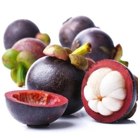 

Buah Manggis Manis Segar 1kg nUg