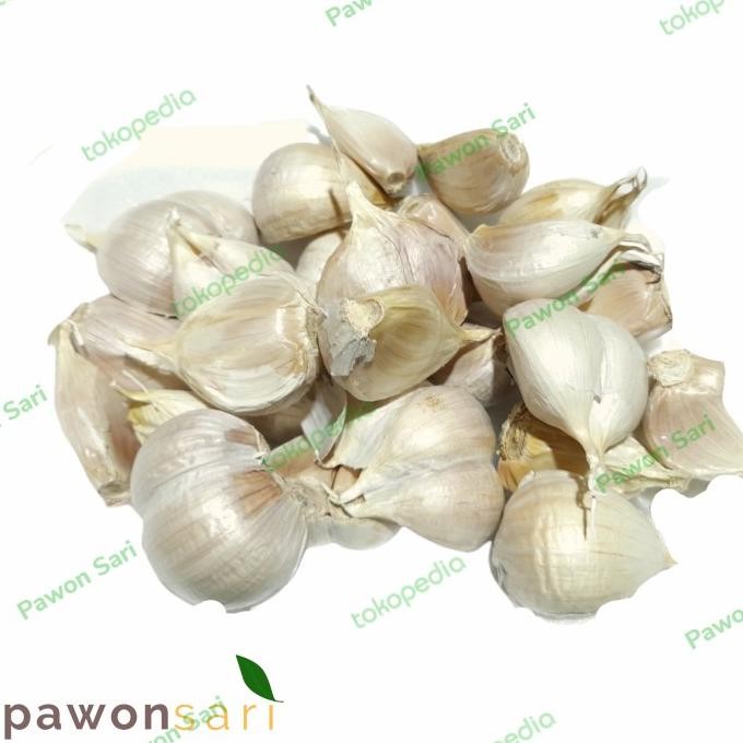 

bawang putih kating nUg
