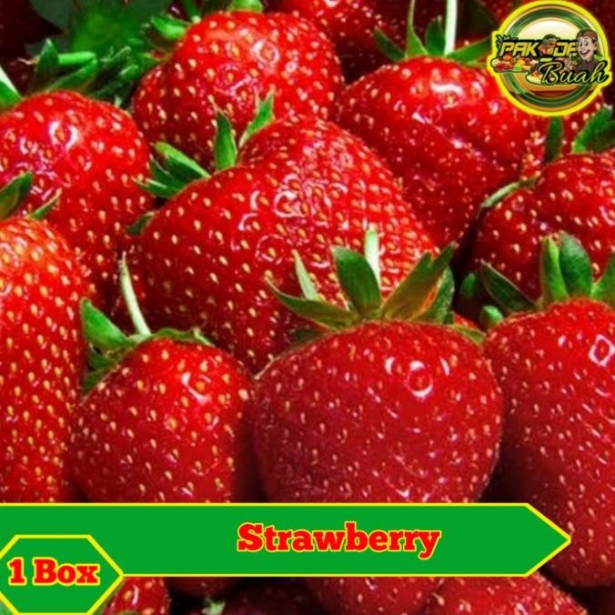 

BUAH STRAWBERRY LOKAL SUPER FRESH / BUAH SEGAR / 1 PACKING nUg