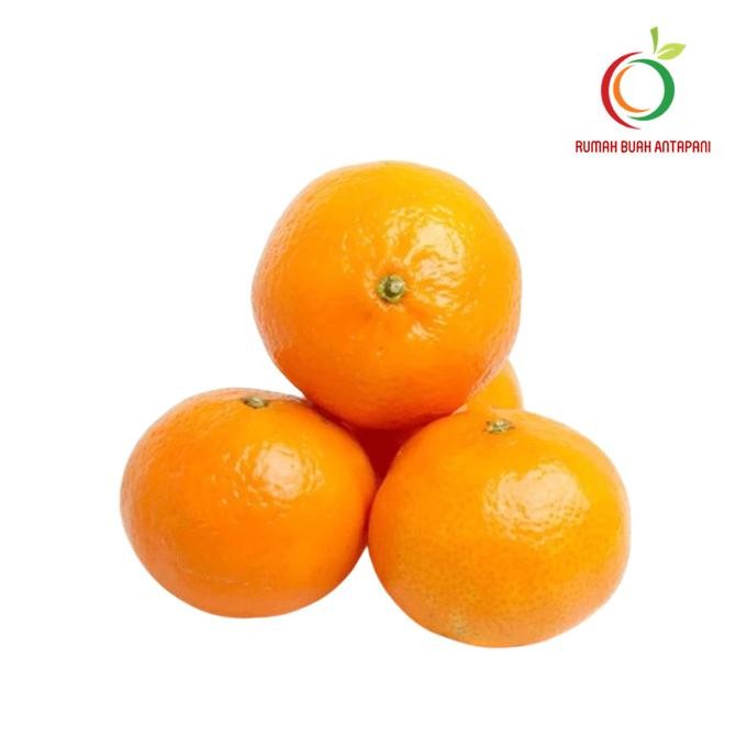 

buah jeruk kino pakistan nUg