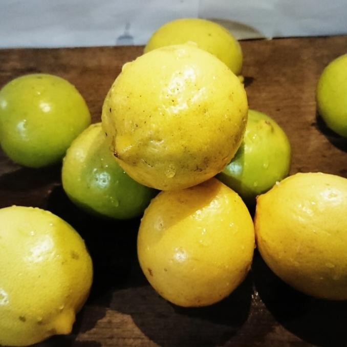 

jeruk lemon lokal 1 kg nUg