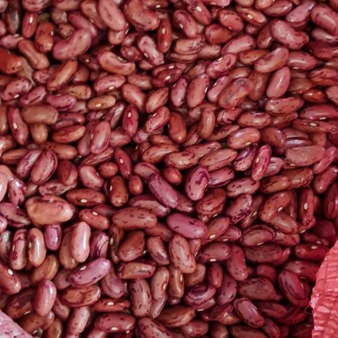 

Kacang Merah Kacang Jogo 500G Gram Ukuran Besar Premium Dijamin FRESH! nUg